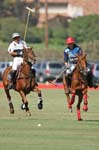 081907_Guttierez_Cup_401