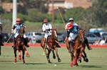 081907_Guttierez_Cup_402