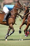 081907_Guttierez_Cup_415