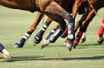 081907_Guttierez_Cup_416