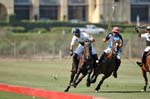 081907_Guttierez_Cup_427