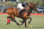 081907_Guttierez_Cup_481