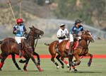 081907_Guttierez_Cup_513