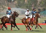 081907_Guttierez_Cup_514