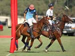 081907_Guttierez_Cup_578