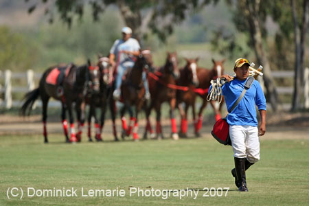 081907_Guttierez_Cup_131