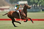 081907_Guttierez_Cup_029