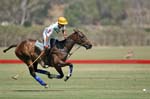 081907_Guttierez_Cup_039