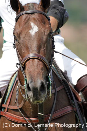 082607_Gutierez_Finals_0202