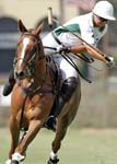 082607_Gutierez_Finals_0185