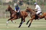 090207_Valencia_Cup_0110