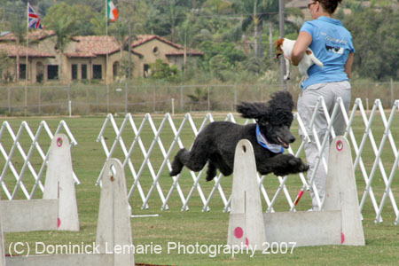 090207_Valencia_Cup_0287
