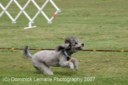 090207_Valencia_Cup_0296