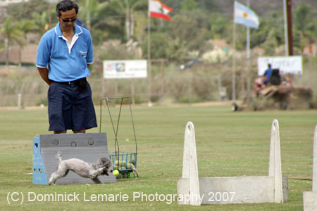 090207_Valencia_Cup_0367
