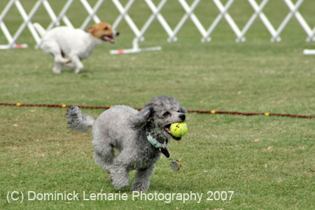 090207_Valencia_Cup_0376