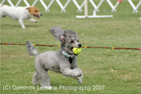 090207_Valencia_Cup_0377