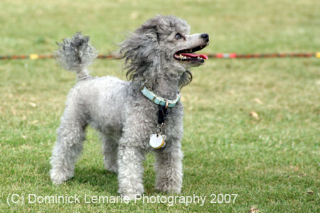 090207_Valencia_Cup_0385