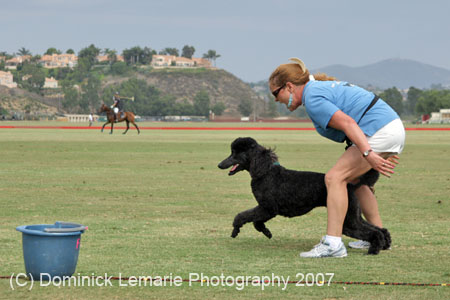 090207_Valencia_Cup_0390