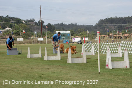 090207_Valencia_Cup_0395