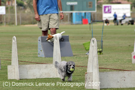 090207_Valencia_Cup_0405
