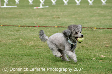 090207_Valencia_Cup_0410