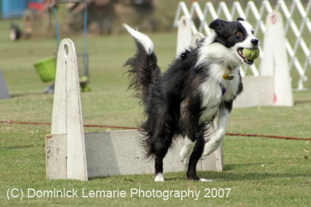 090207_Valencia_Cup_0429
