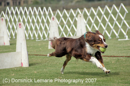 090207_Valencia_Cup_0432