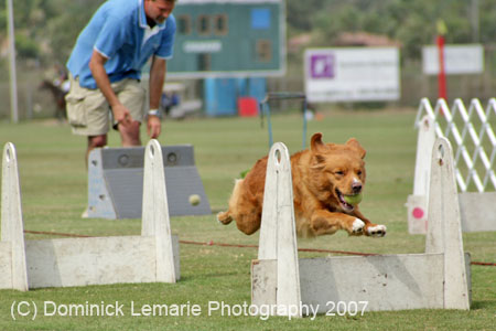 090207_Valencia_Cup_0436