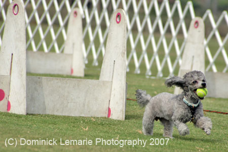 090207_Valencia_Cup_0443