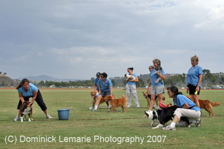 090207_Valencia_Cup_0447