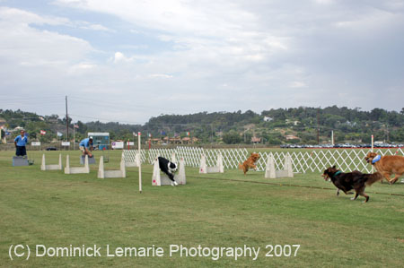 090207_Valencia_Cup_0452