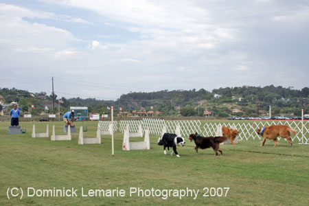 090207_Valencia_Cup_0453