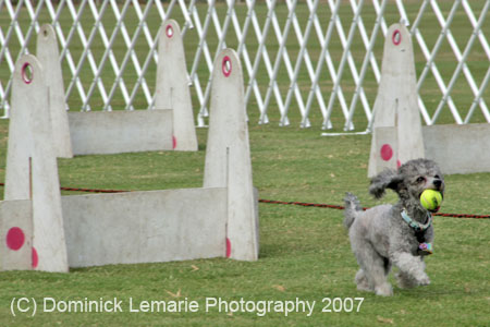 090207_Valencia_Cup_0460