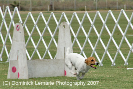 090207_Valencia_Cup_0462