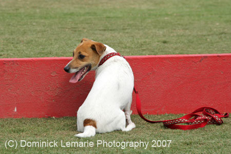 090207_Valencia_Cup_0485
