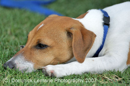 090207_Valencia_Cup_0802