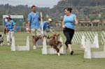 090207_Valencia_Cup_0278