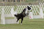 090207_Valencia_Cup_0309