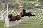 090207_Valencia_Cup_0313