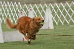 090207_Valencia_Cup_0332