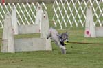 090207_Valencia_Cup_0339