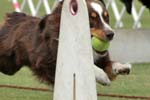 090207_Valencia_Cup_0351
