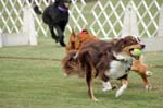 090207_Valencia_Cup_0353