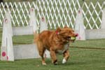 090207_Valencia_Cup_0359