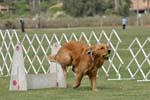 090207_Valencia_Cup_0360