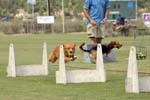 090207_Valencia_Cup_0362
