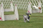 090207_Valencia_Cup_0375
