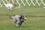 090207_Valencia_Cup_0376