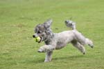 090207_Valencia_Cup_0387