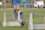 090207_Valencia_Cup_0405
